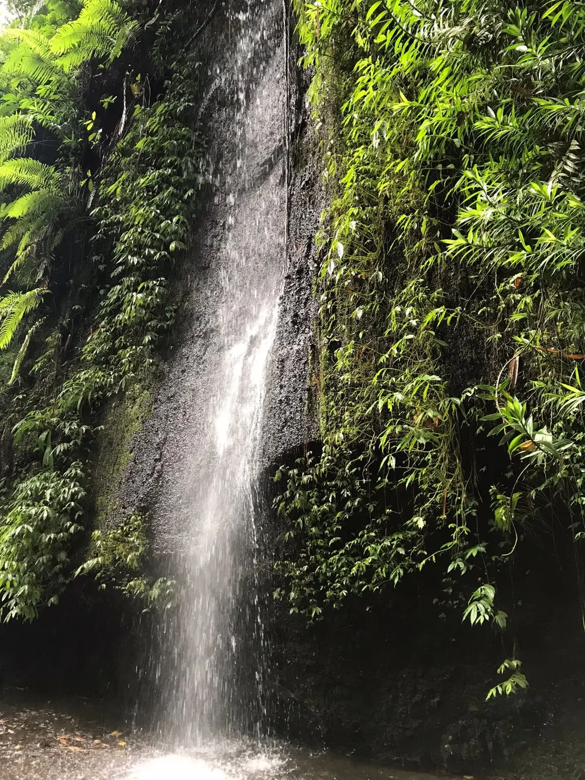 Nature, Indonesia