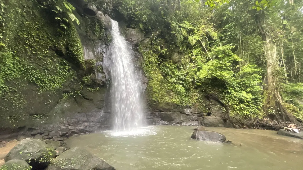Nature, Indonesia