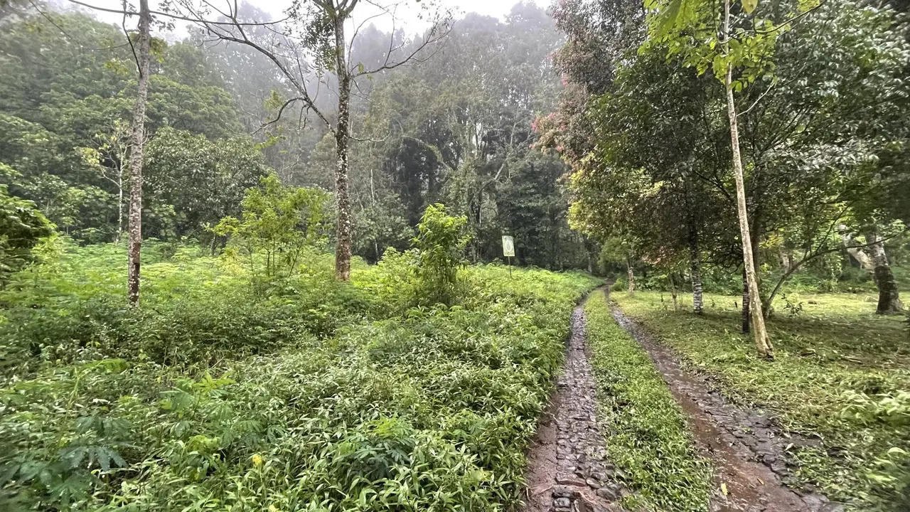 Nature, Indonesia
