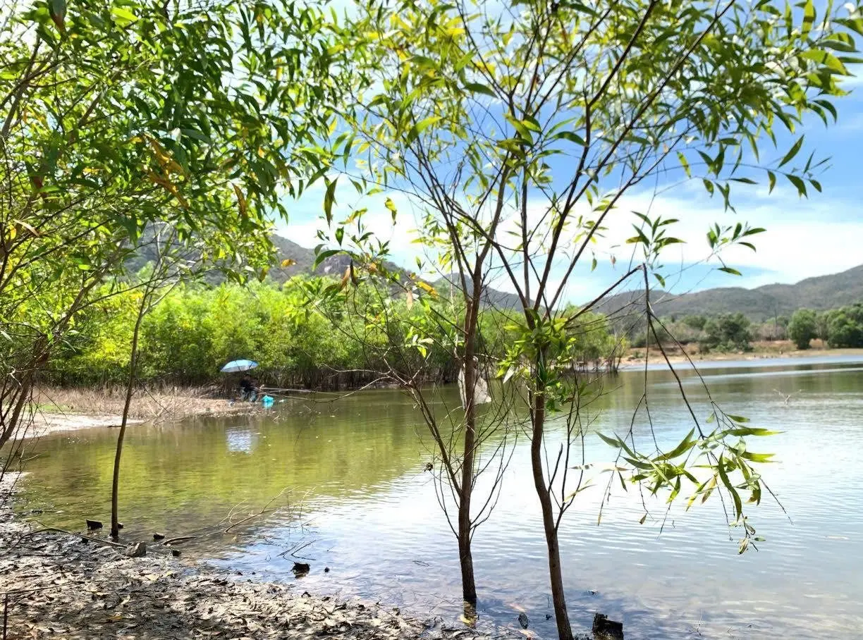 Nature, Vietnam