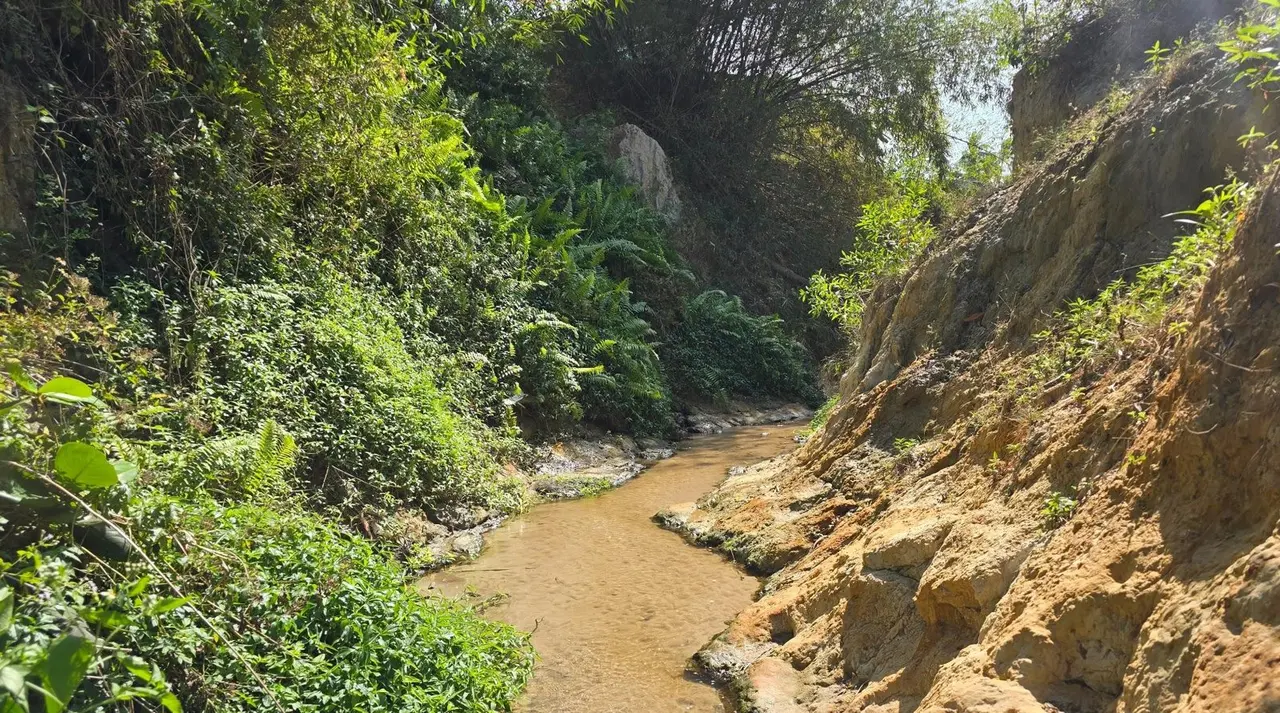Nature, Vietnam