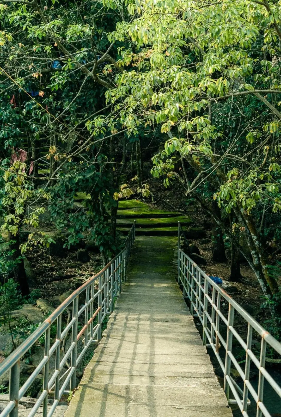 Nature, Vietnam