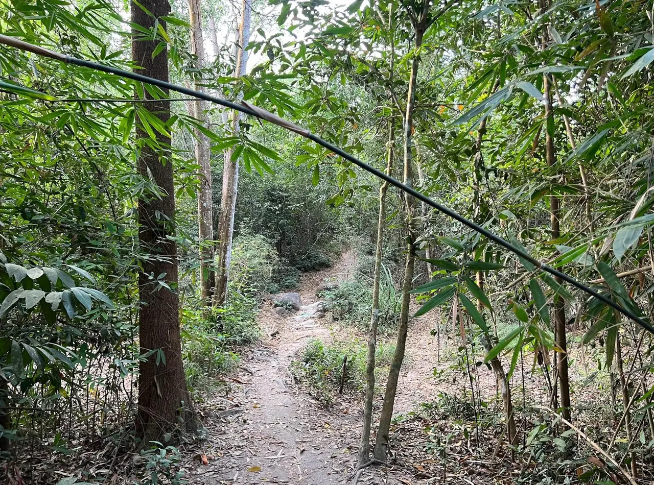 Nature, Vietnam