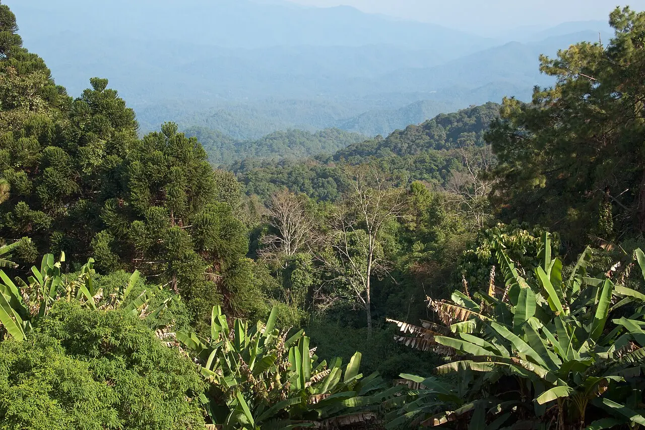 Nature, Thailand