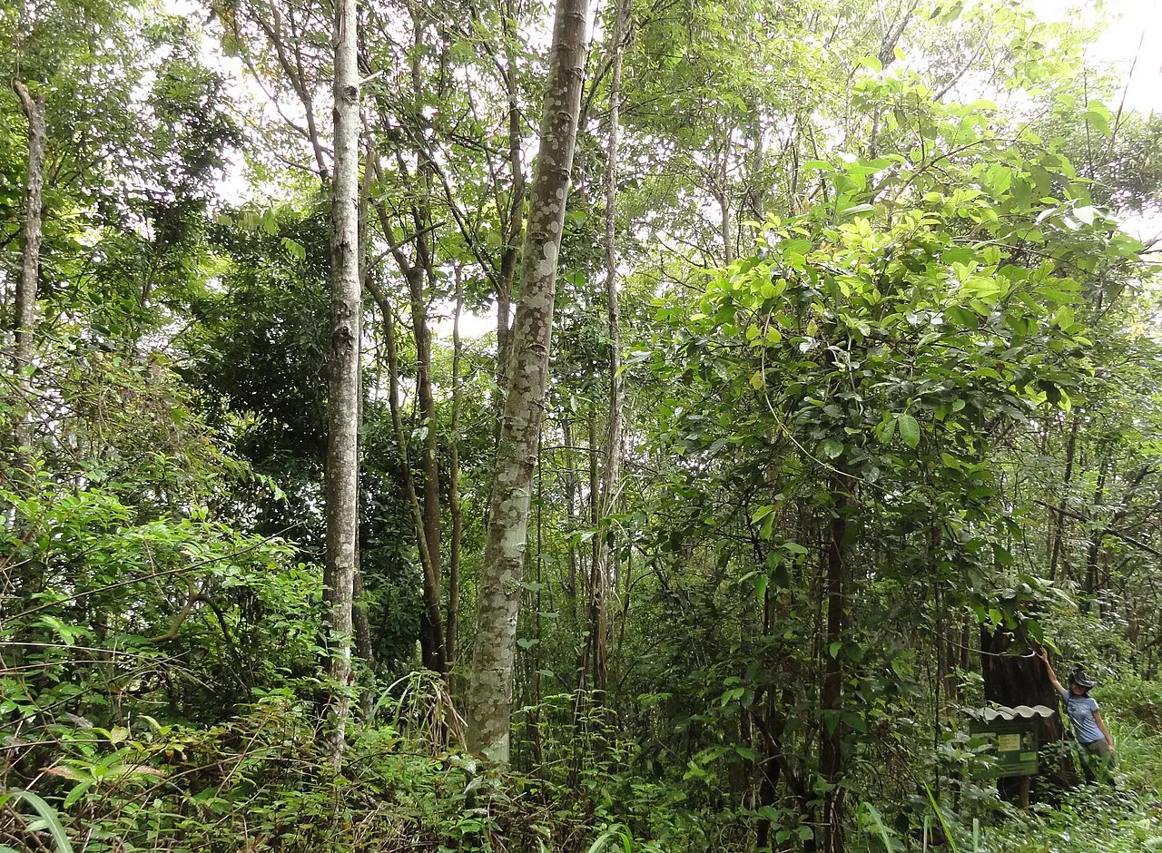 Nature, Thailand